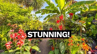 Tropical Plants & Summer Inspiration at The Secret Garden of Louth