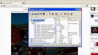 How To Make Charles Working Mozilla Firefox