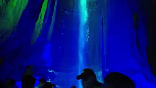 Ruby Falls, Chattanooga, TN March 2025