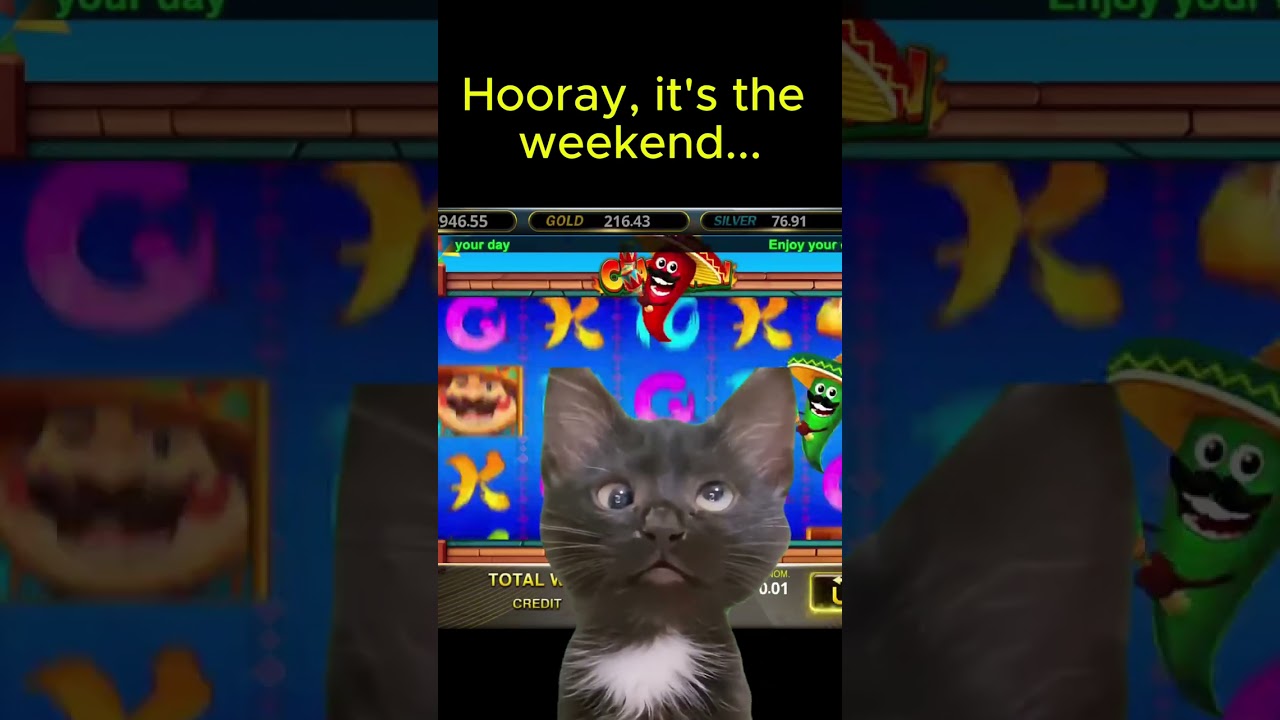 Funny Memes for the Weekend Vibes!
