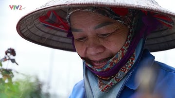 NÂNG CAO NĂNG LỰC PHÁT TRIỂN SẢN PHẨM NÔNG SẢN HÀNG HÓA CHO HTX