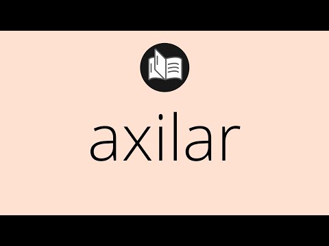 Que significa AXILAR • axilar SIGNIFICADO • axilar DEFINICIÓN • Que es AXILAR