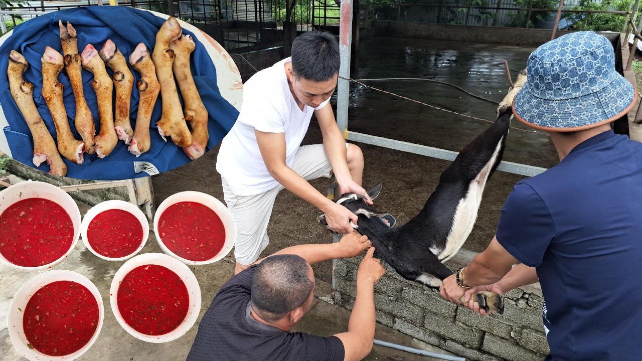 Thịt Dê Nhà Nuôi, Tiết Canh Cực Chuẩn | Lối Về Làng TV!