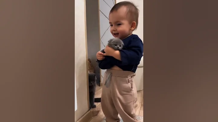 So Smol, So Precious & Funny 🤣😹💕 #shorts #kitten #cute