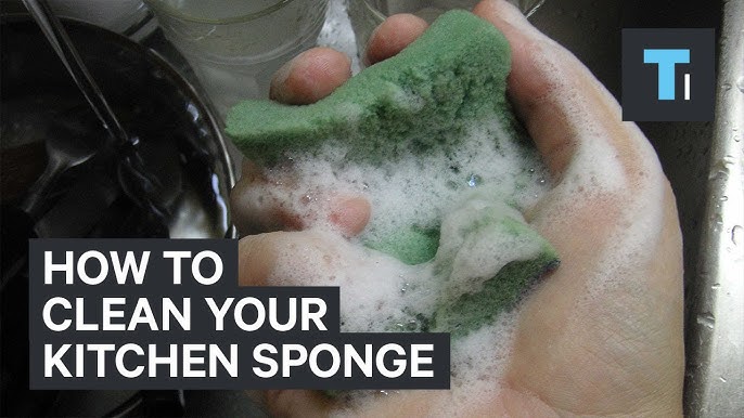 Learn The Differences Between The 5 Types of Cleaning Sponges