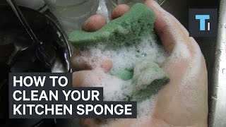 How to clean your kitchen sponge