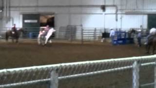 My best friends horse having a spaz attack