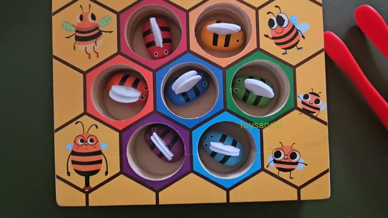 Unboxing Color Sorting Toy Bee Hive Color Matching 
