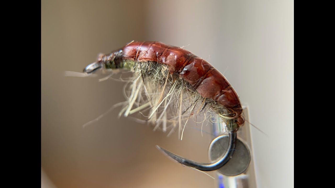 Мухи Форди - Гаммарус