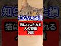 【知らないと損】猫に懐かれる人の特徴5選 #保護猫 #猫 #猫のいる暮らし #ねこ #ネコ #獣医師