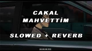 Cakal Mahvettim (SLOWED + REVERB) Resimi