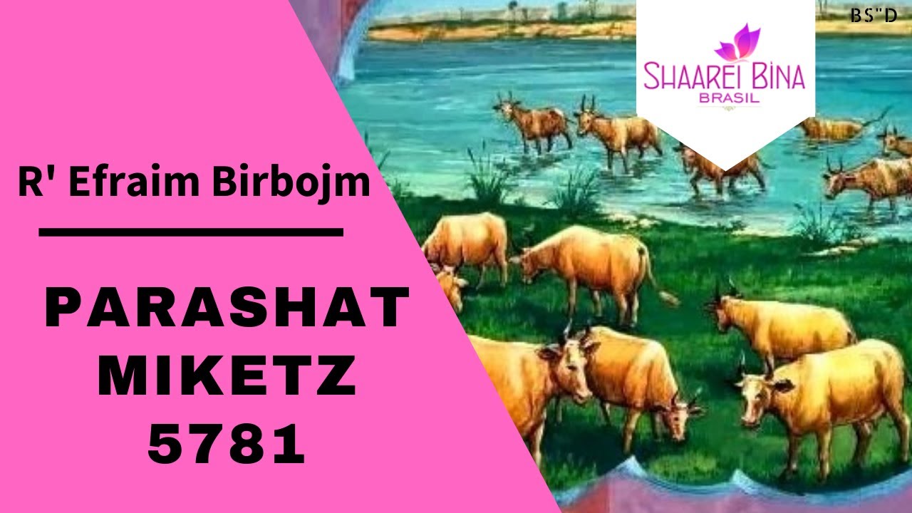 Parashat Miketz 5781/ 2020