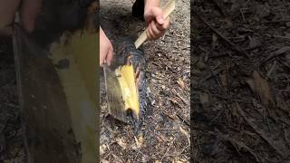 the village people's delicious food is grilled young bamboo shoots. #shorts