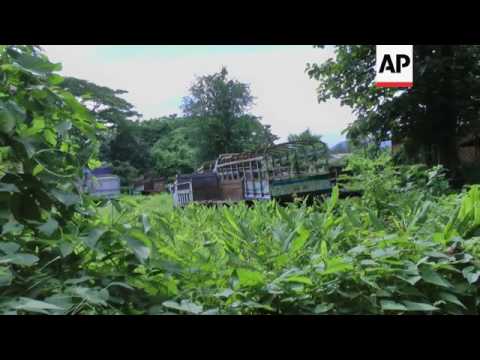 ONLY ON AP Saving myanmar's disappearing forests
