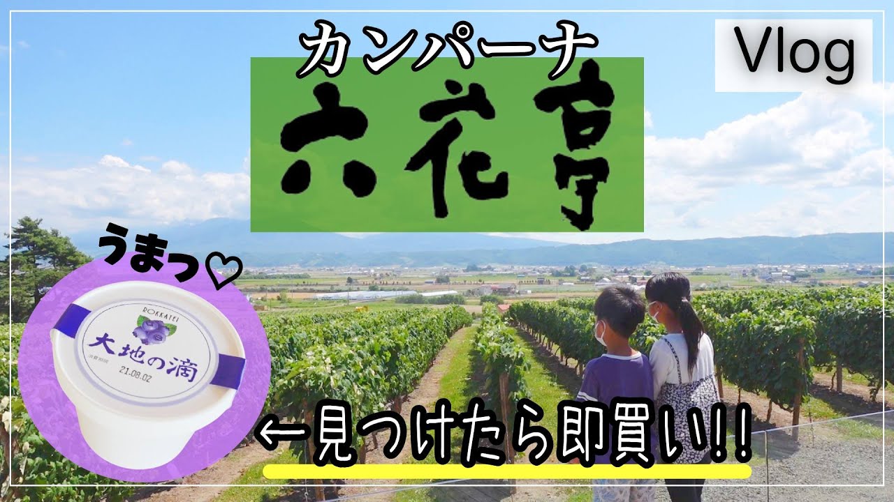 カンパーナ六花亭で発見 期間限定商品がウマすぎた 1人5個までの幻のチョコレート Youtube