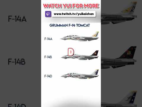 Give Me The Big D in Ace Combat 8