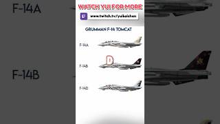 Give Me The Big D in Ace Combat 8
