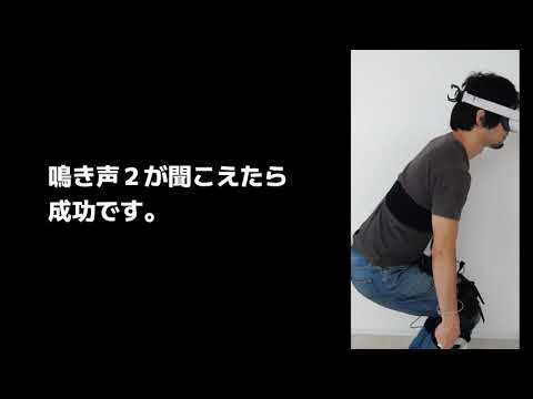 HaritoraX クイックキャリブレーションのやり方