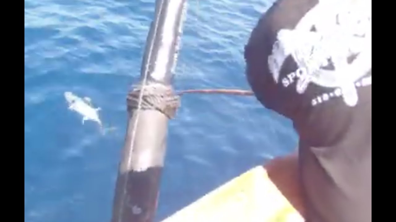 2015 NATIVE SUN OUT OF 22CND STREET LANDING. TUNA ON A 3/4 DAY BOAT!!!