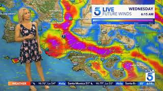 Kacey Montoya Weather Floral Mini Skirt March 28, 2021