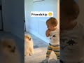 funny movement 😄 #youtubeshorts #viralvideo #funny #cute @CoComelon @PetsSwag #funnyanimal