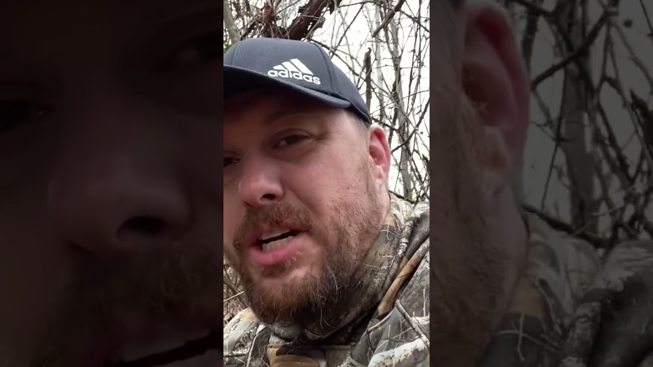 It’s ‘Possum time… Meet Dave!! 