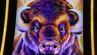 Casino Game Play In Las Vegas screenshot 4