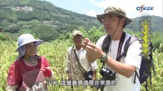 MIT 台灣誌 #632 循水蜜桃的香甜滋味 遍遊卡拉山谷