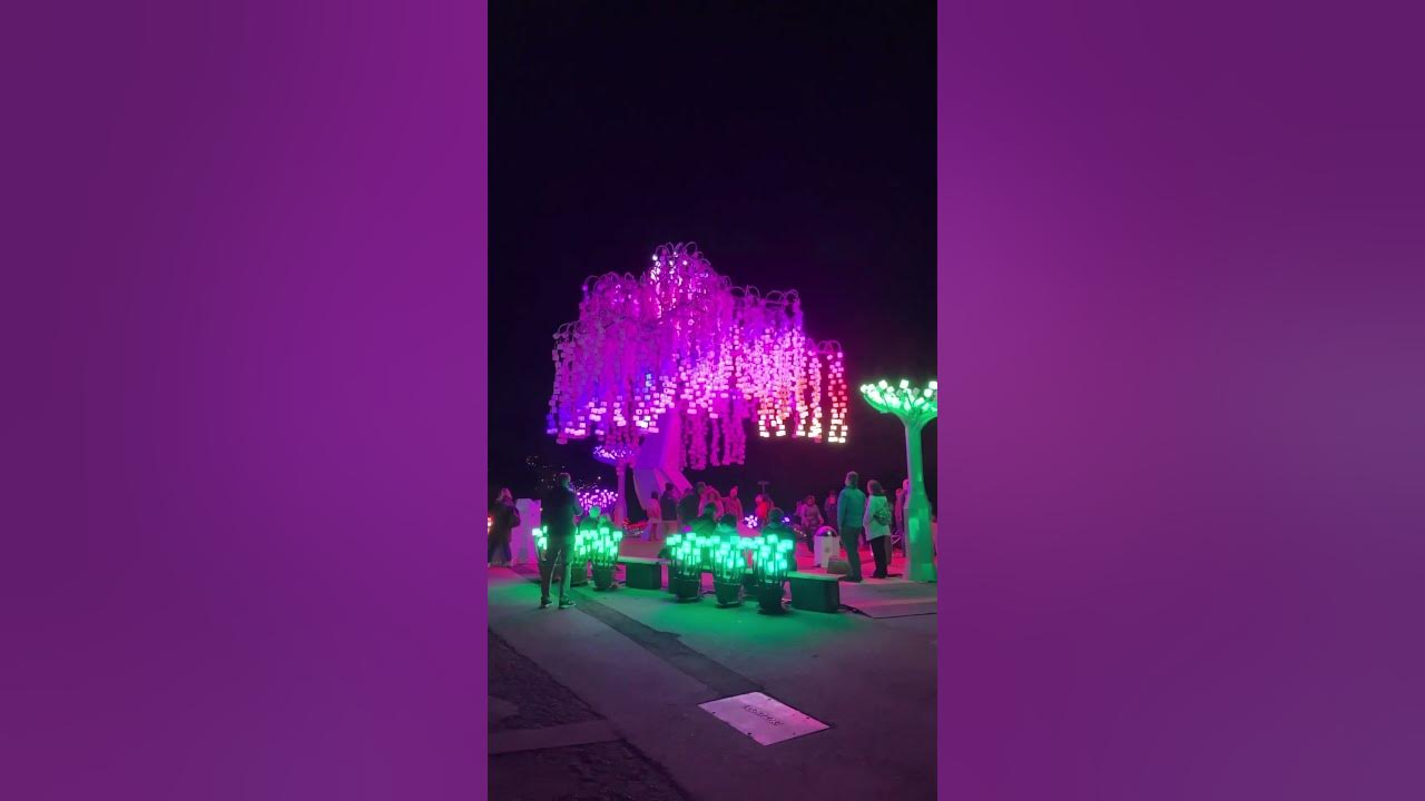 San Francisco Golden Gate Park Christmas lights. YouTube