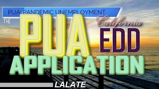 How to Fill Out PUA Application: PUA Application CA EDD Debit Cards Coming, Bank America - PUA Help