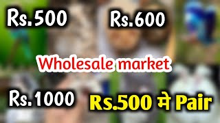 Rs.500 म Pair Wholesale Market German Angoora Rabbis Persian Cat Gerbils Guinea Pigs Hamster