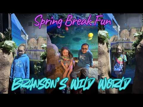 Klay & Skylar's First Time Seeing The New African Penguin Exhibit | Spring Break Fun At Wild World