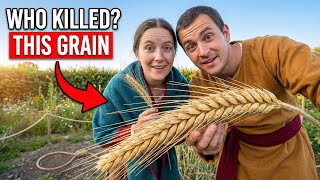 This Medieval Grain Produced Food On Tiny Plots — And Farmers Replaced it!