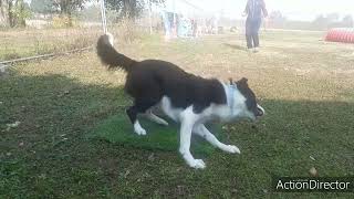 S. Trkmann Rc running class Paschino Ilenia & KenShiro screenshot 1