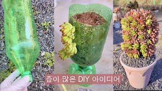 즙이 많은 DIY 아이디어