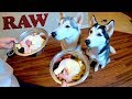 Switching Your Husky To A Raw Food Diet! (Part 1)
