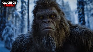 Top 10 Bigfoot Sightings in 2025 That Can't Be Explained