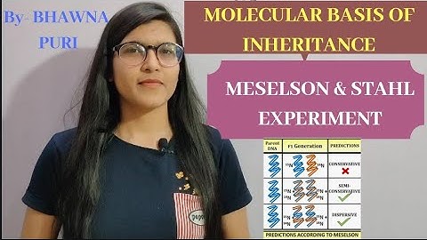 Ch-6||L-03||MESELSON & STAHL|| EXPERIMENTAL PROOF OF SEMI CONSERVATIVE EXPERIMENT||CLASS-12TH