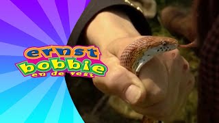 De Ontsnapte Slang  Avonturen Bij De Politie  Ernst En Bobbie