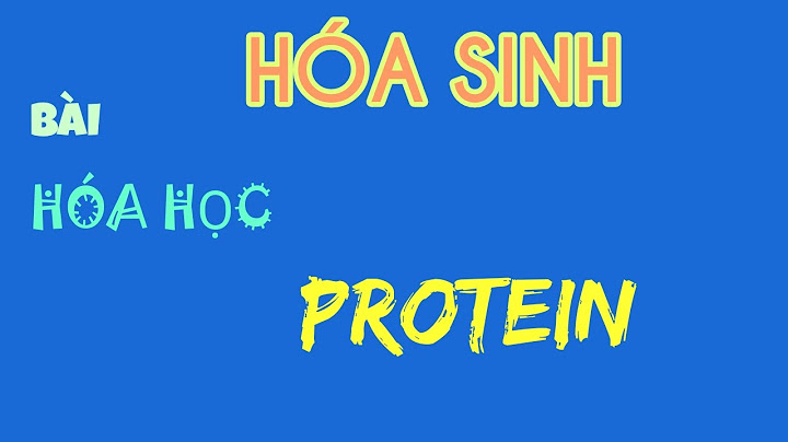 So sánh chuỗi α và chuỗi β protein năm 2024