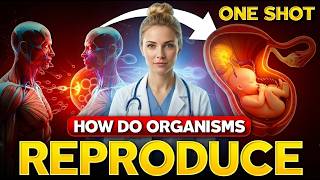 Foods That Heal Your Reproductive System Naturally | Sexual Health Tips