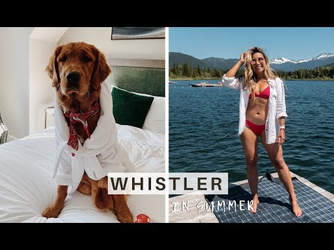 Video: Chó thân thiện Whistler, BC