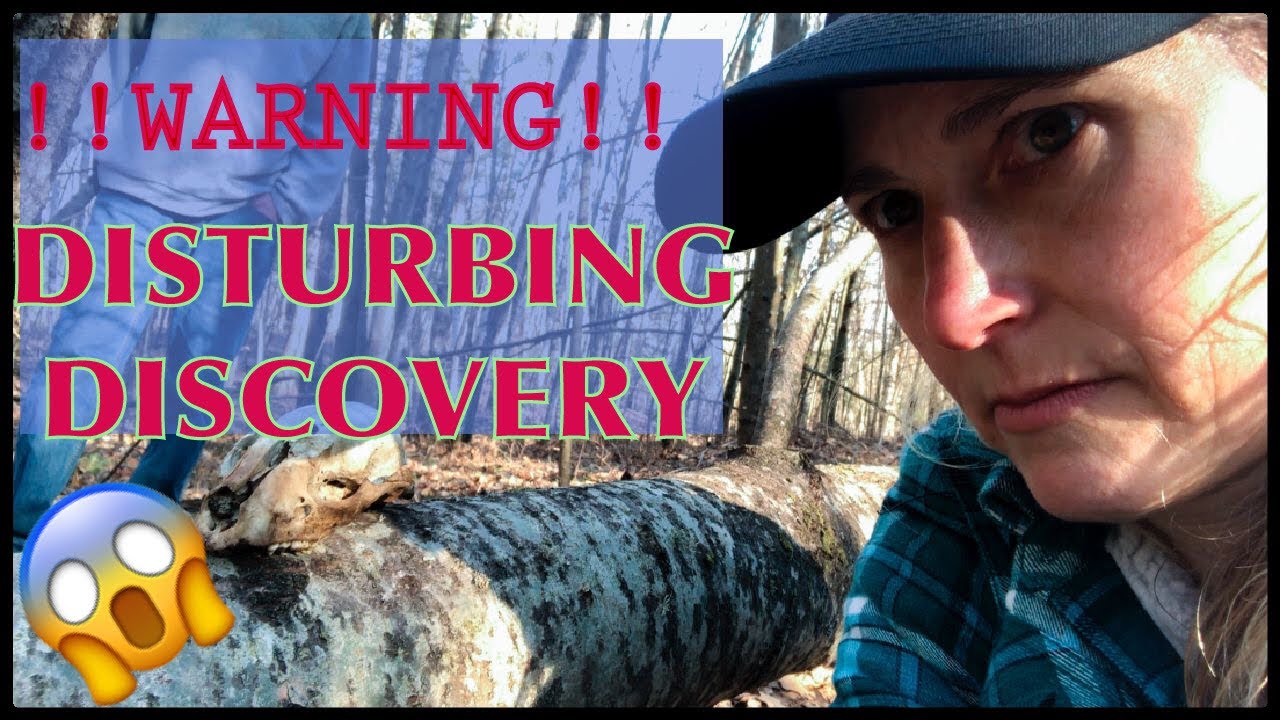 Something Dangerous Lurks in these Woods !!WARNING!! Bizarre & Grisly