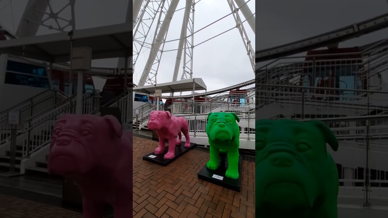 Hong Kong Observation Wheel & AIA Vitality Park 