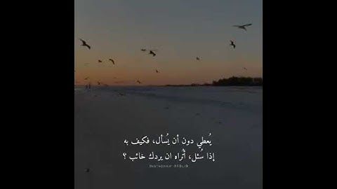 تلاوه عذبه لدقيقه | حالات واتساب قرآنيه | علاء عصام 💚🌚