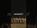 "The Midnight Ride of Paul Revere", story that revolutionize the history #oldstorytellerr #shorts
