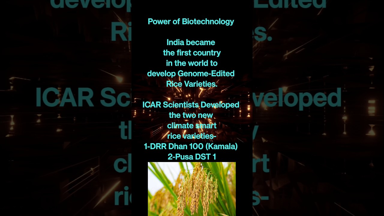 India 🇮🇳 Developed World 1st Genome-Edited Climate Smart Rice Varieties 🇮🇳🎉