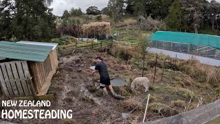 the project that keeps giving on our New Zealand homestead