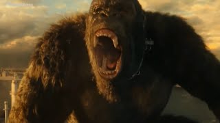 New Godzilla vs Kong Footage Shown at CCXP!