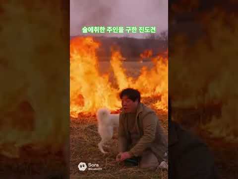 2025년 12월 23일